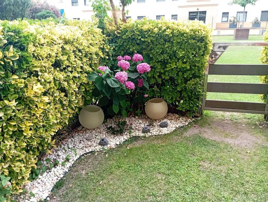 Apartamento En Primera Linea De Mar Roses Buitenkant foto
