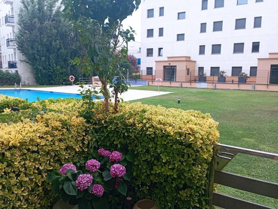 Apartamento En Primera Linea De Mar Roses Buitenkant foto