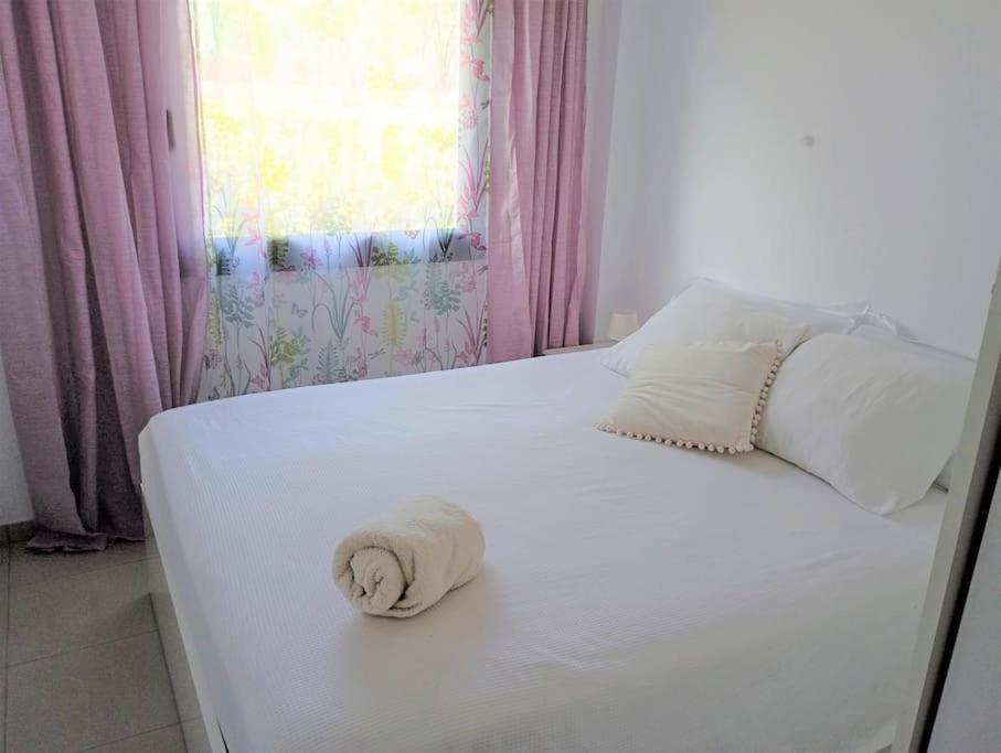 Apartamento En Primera Linea De Mar Roses Buitenkant foto